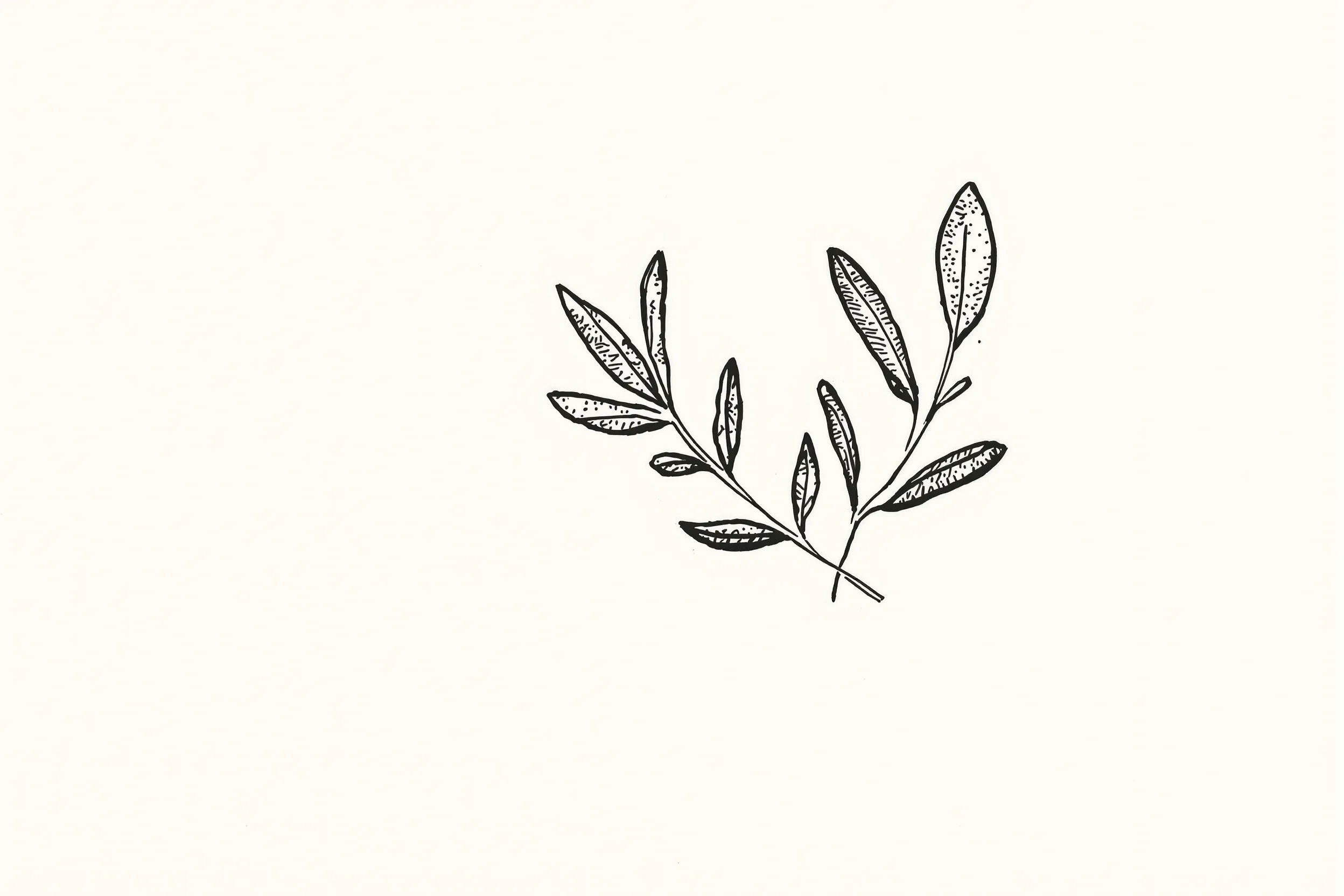Minimal line-art botanical sprig in deep evergreen on ivory